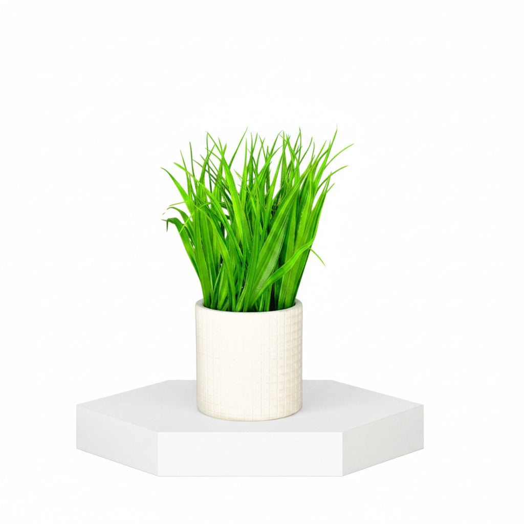 Mini Grass Haven Desktop Decor