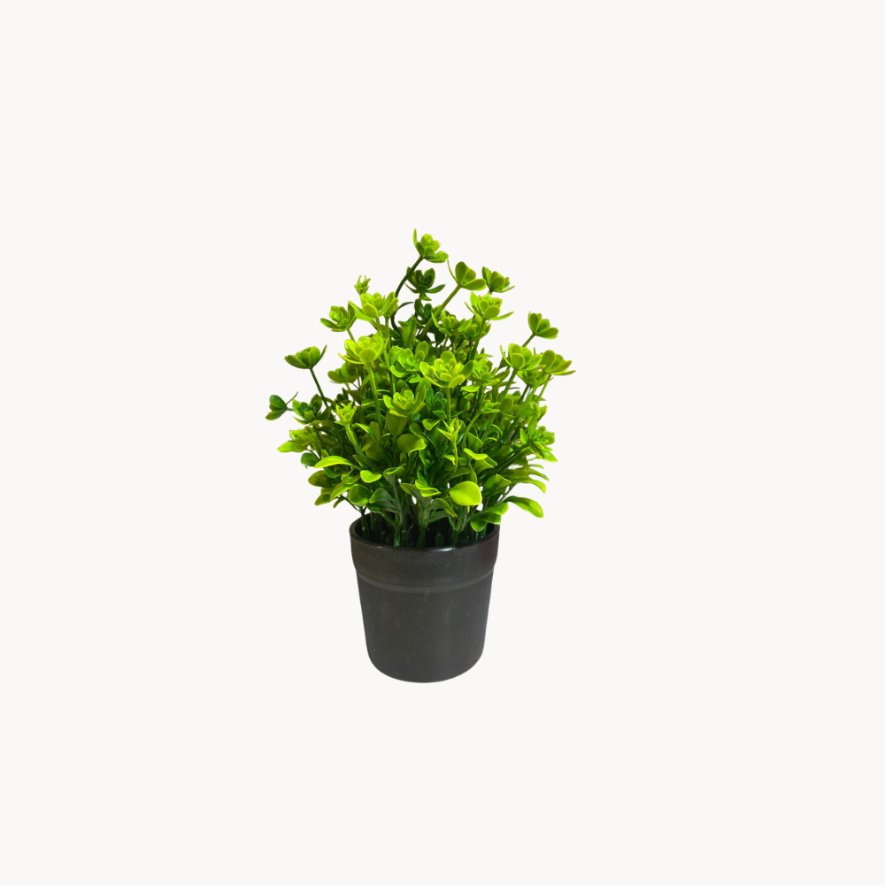 Artificial Plant -2