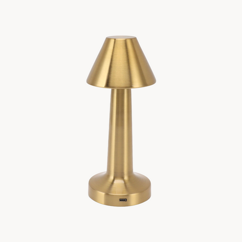 1 Led Lamp  (3 colors)