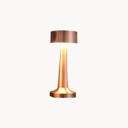 2 led Lamp (3 colors)