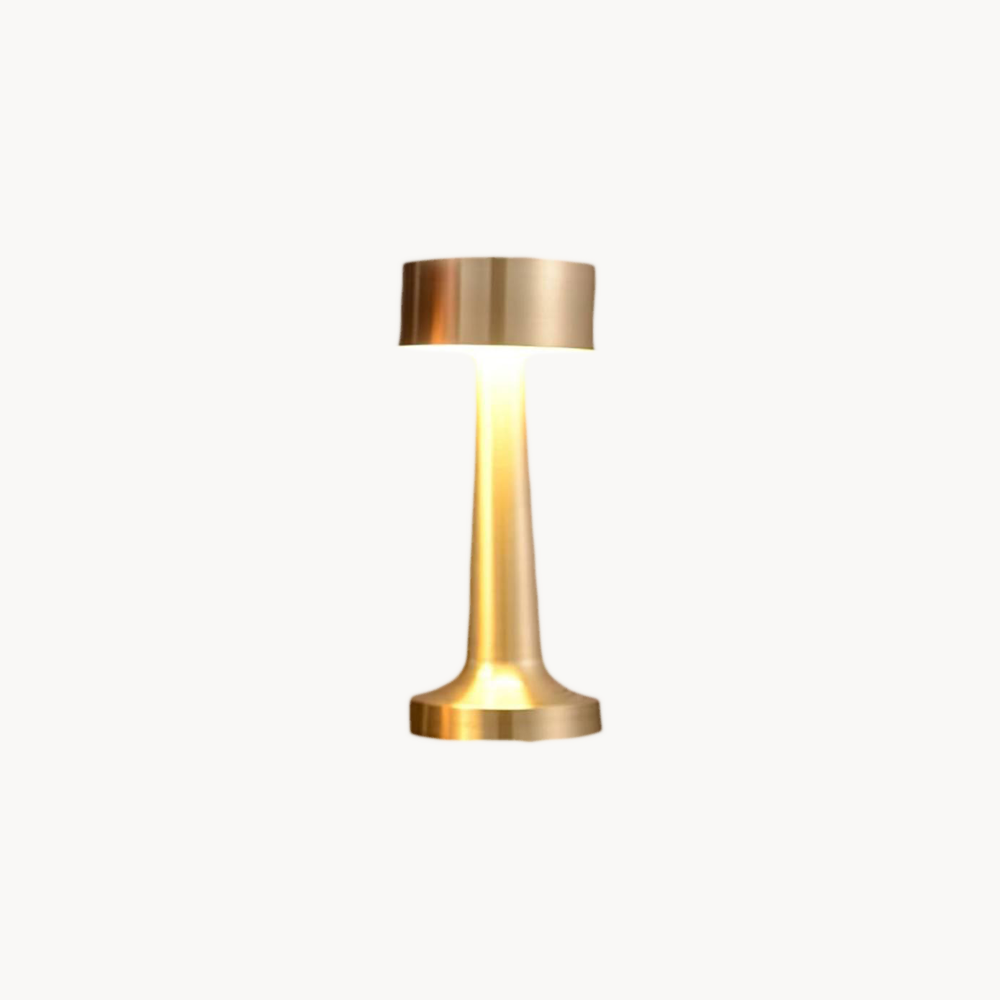 2 led Lamp (3 colors)
