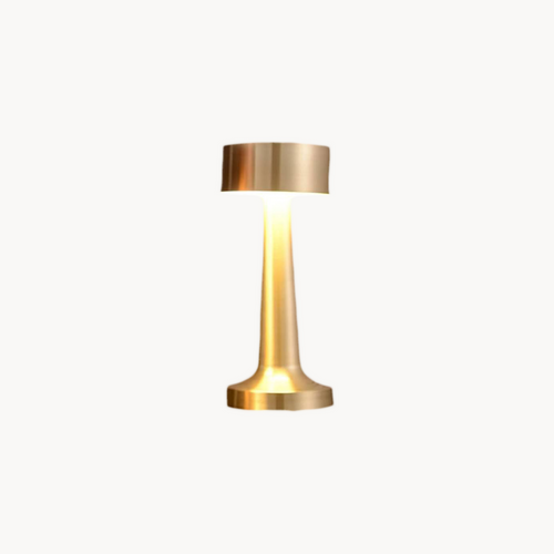 2 led Lamp (3 colors)