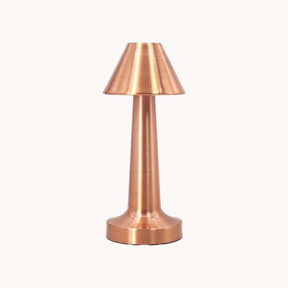 1 Led Lamp  (3 colors)