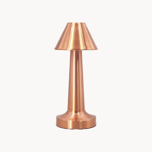 1 Led Lamp  (3 colors)