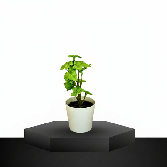 Artificial Potted Ivy Plant – Minimalist Green Decor