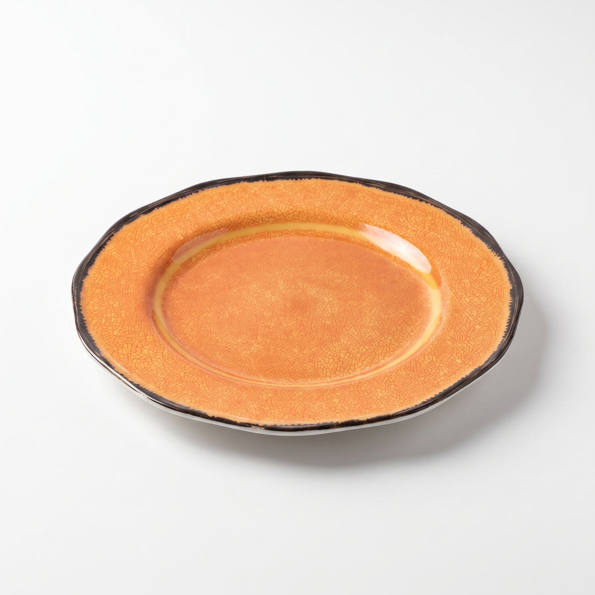 Round Plate with Intricate Web Motif and Dark Rim