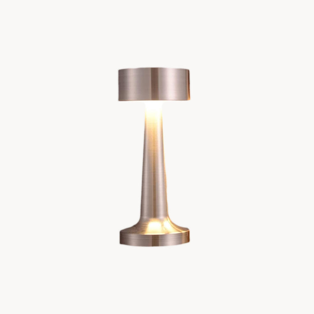 2 led Lamp (3 colors)