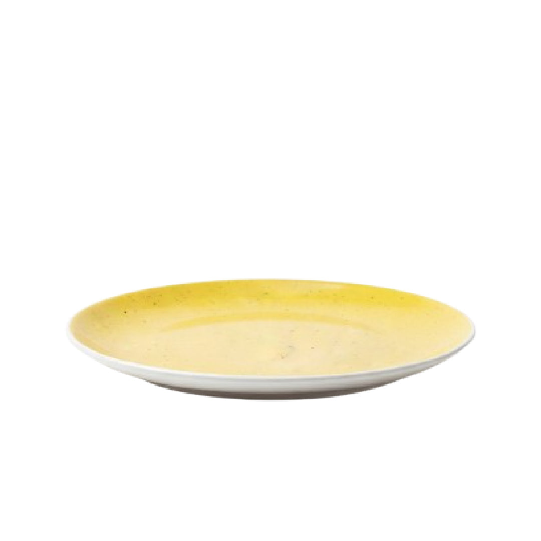 Elegant Ceramic Flat Plate