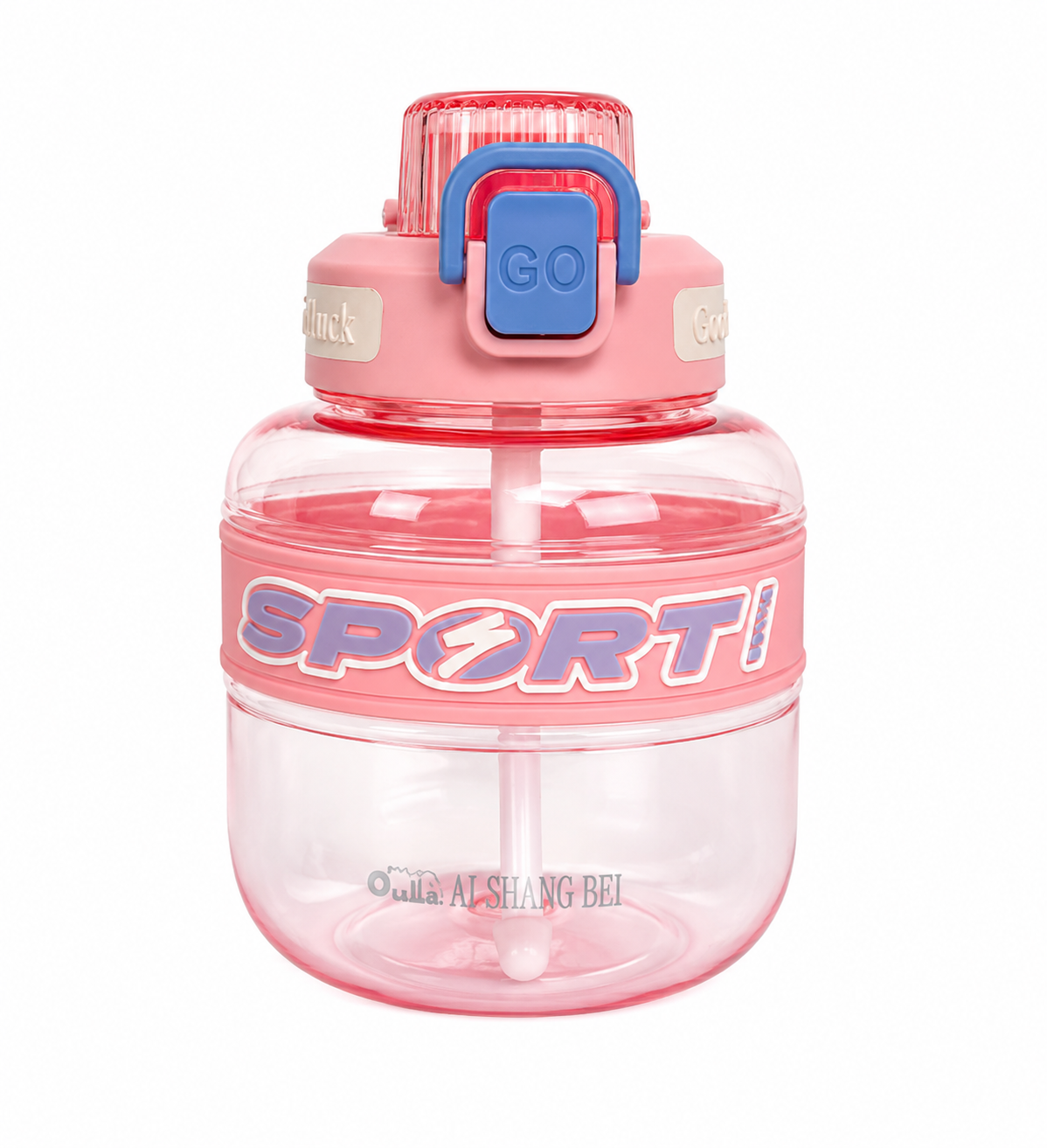 Sport Style Water Bottle with Straw & Flip Lock Lid