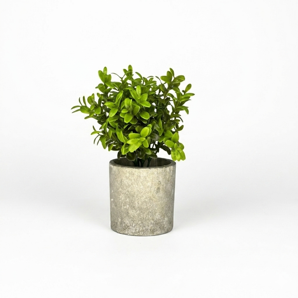 Artificial Boxwood Topiary in Concrete-Style Pot
