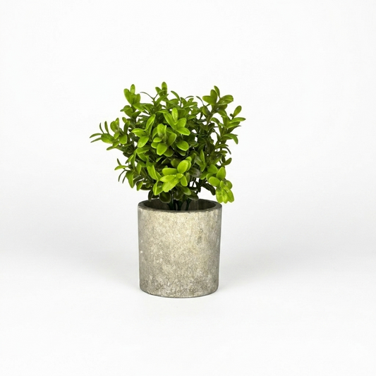 Artificial Boxwood Topiary in Concrete-Style Pot
