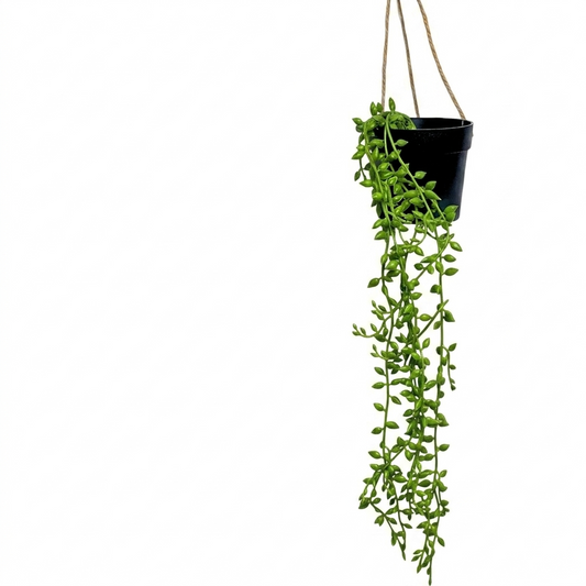 : Artificial String of Pearls Hanging Plant