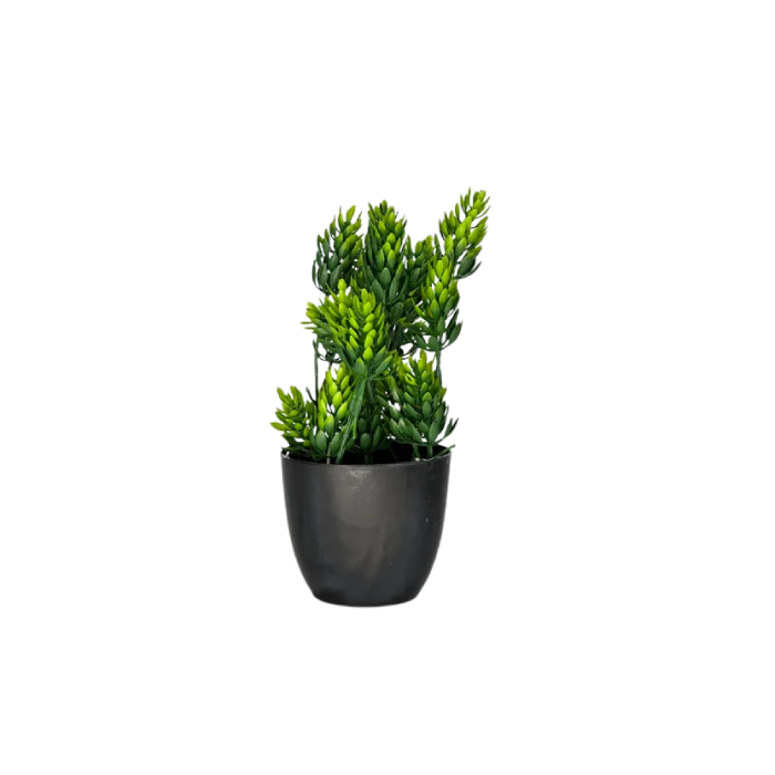 Artificial Succulent Plant in Black Pot 24CM