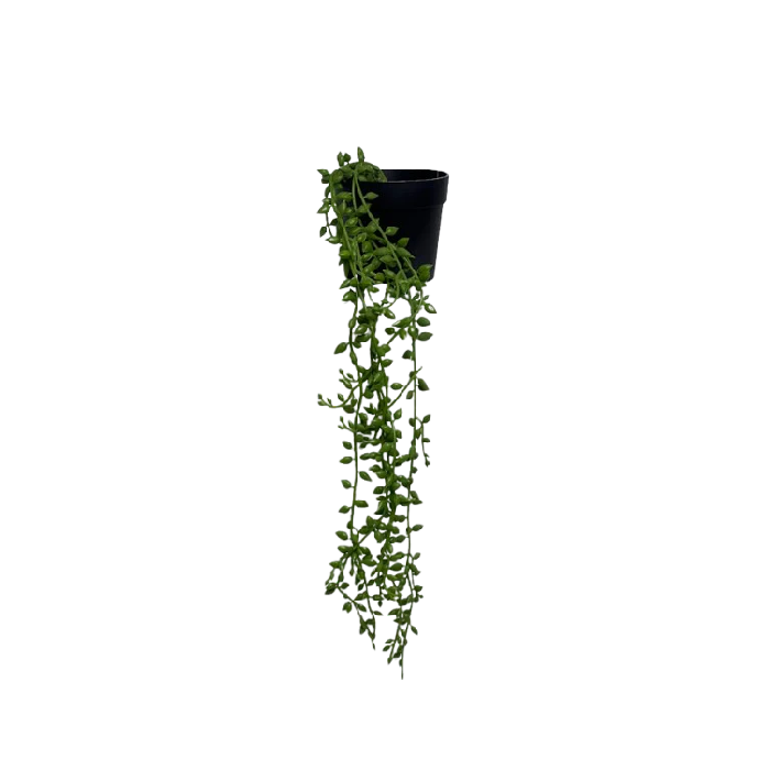 Hanging Artificial Trailing Plant in Black Pot