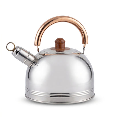 Stovetop Whistling Tea Kettle
