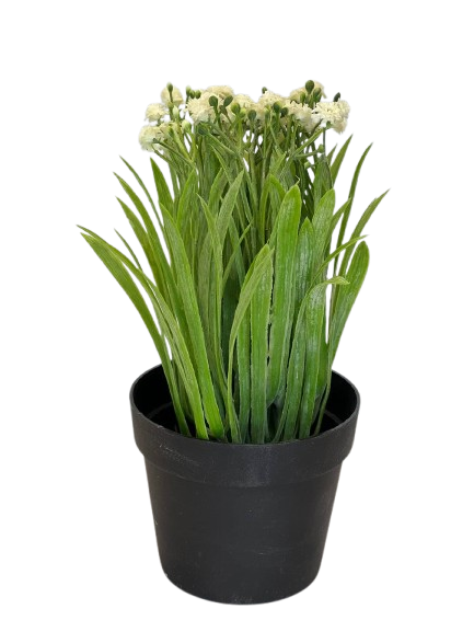 Mini Artificial White Blossom Plant in Black Pot