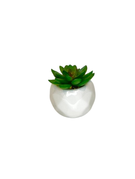 Mini Artificial Succulent in White Ceramic Pot