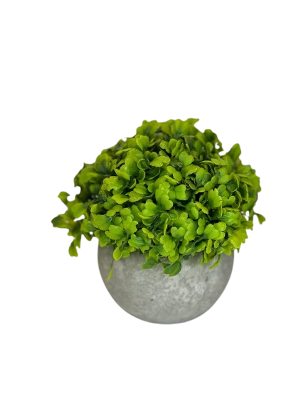 Mini Green Leaf Potted Plant