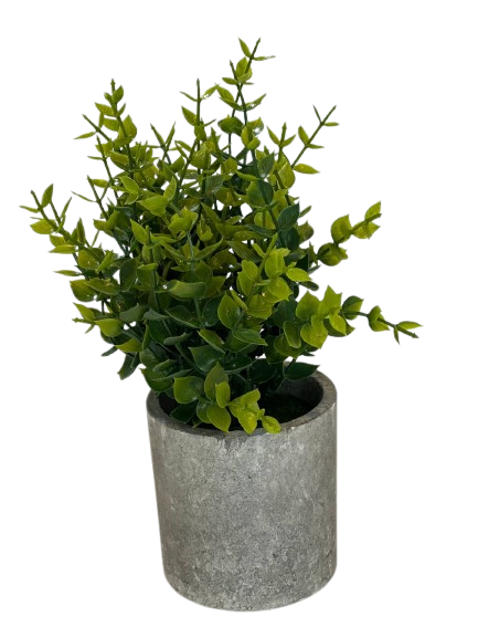 Eucalyptus Leaf Decorative Plant