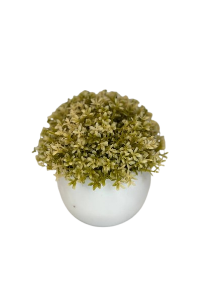 Mini Beige Bloom Ceramic Plant