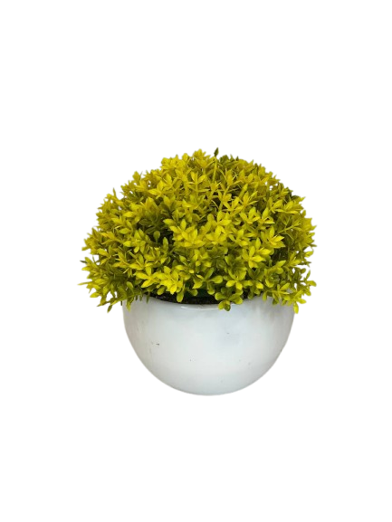Yellow Blossom Decorative Flower Pot