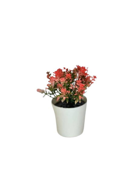 Pink Mini Bloom Pot