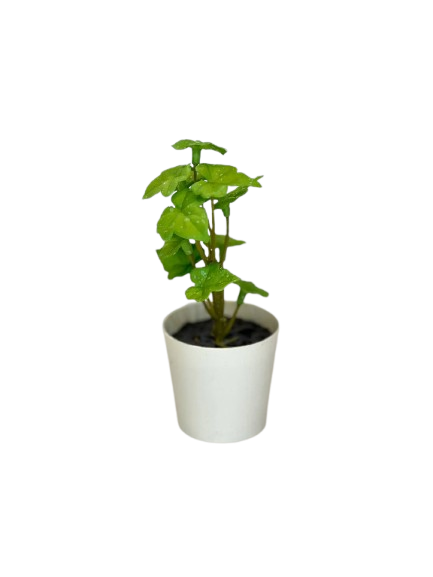 Green Leaf Mini Plant
