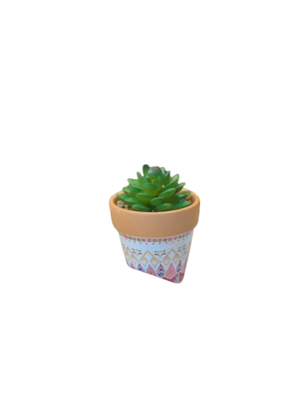 Mini Succulent Plant in Patterned Pot