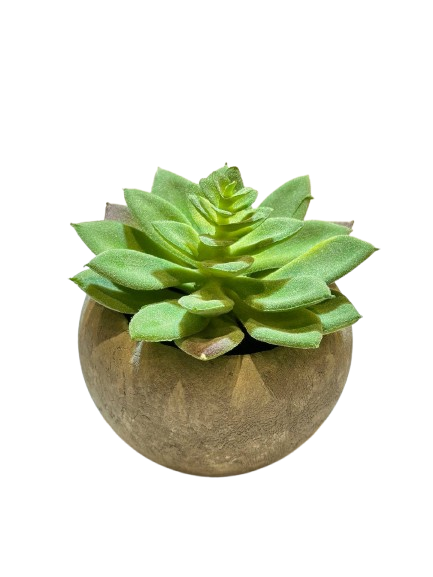 Rustic Stone Succulent Planter