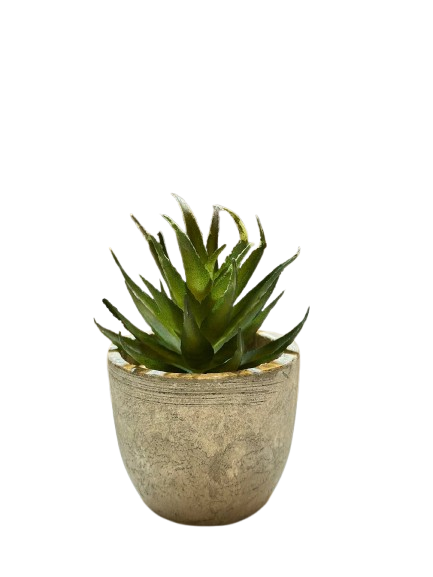 Mini Artificial Aloe Plant in Stone Pot