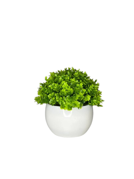 Artificial Green Shrub in White Ceramic Pot