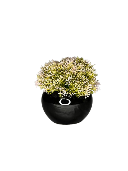 Artificial Shrub in Glossy Black Pot