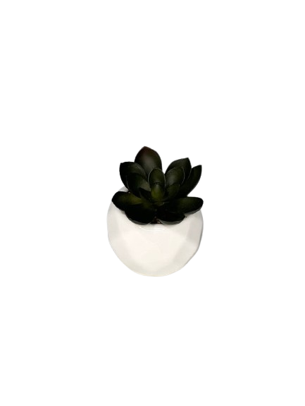 Mini Artificial Succulent in White Ceramic Pot