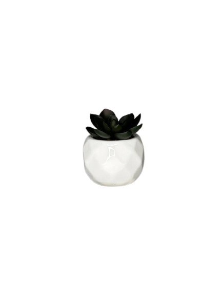 Mini Artificial Succulent in White Ceramic Pot