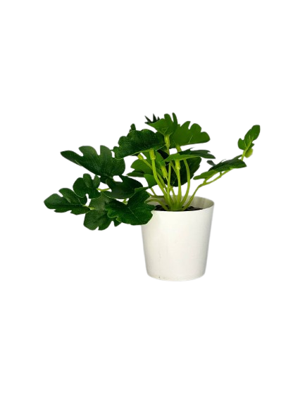 Artificial Philodendron Plant in White Pot