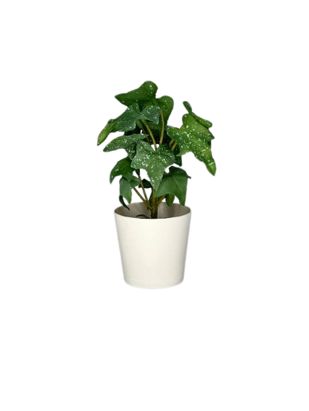 Artificial Potted Green Plant
