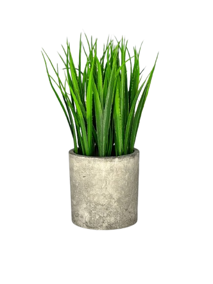 Modern Green Spike Grass in Cement Pot