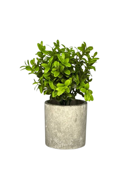 Artificial Green Leaf Plant in Cement Pot