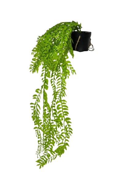 Green Cascade Hanging Vine